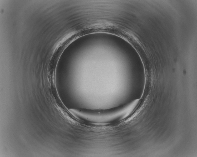 X0000067851018200604131246