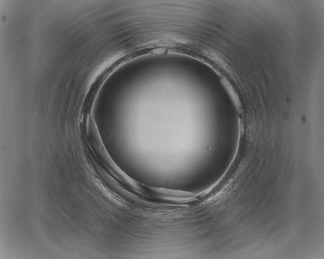 X0000067851026200604131246