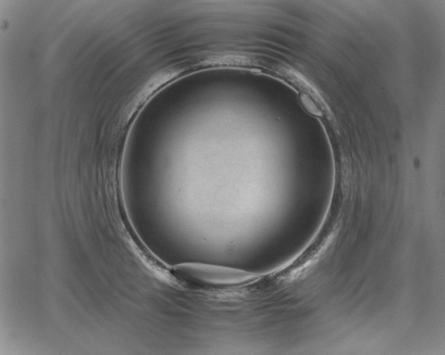 X0000067851041200604131246