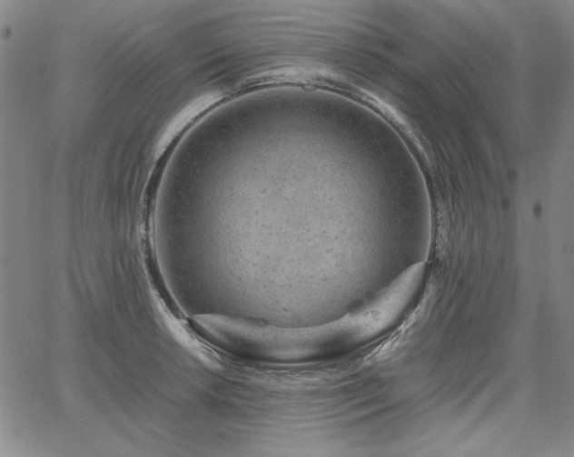 X0000067851042200604131246