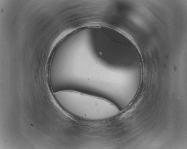 X0000067851045200604131246