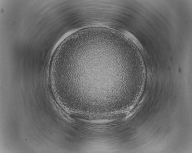 X0000067851052200604131246