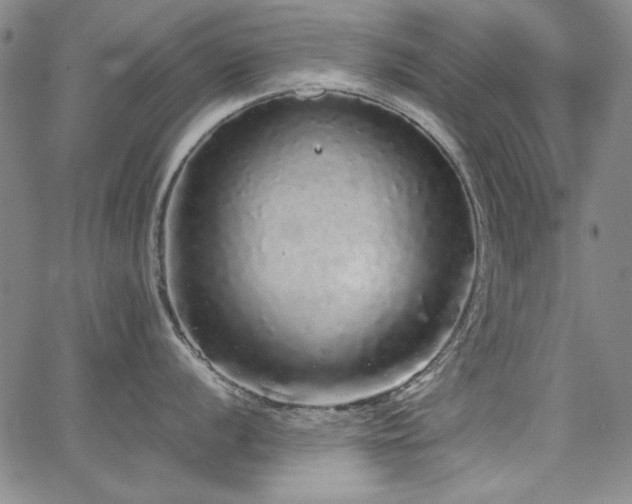 X0000067851056200604131246