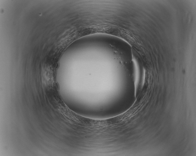 X0000067851058200604131245