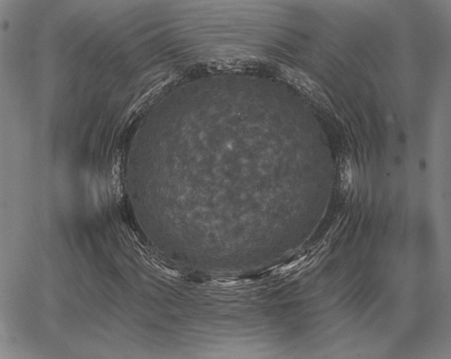 X0000067851060200604131245