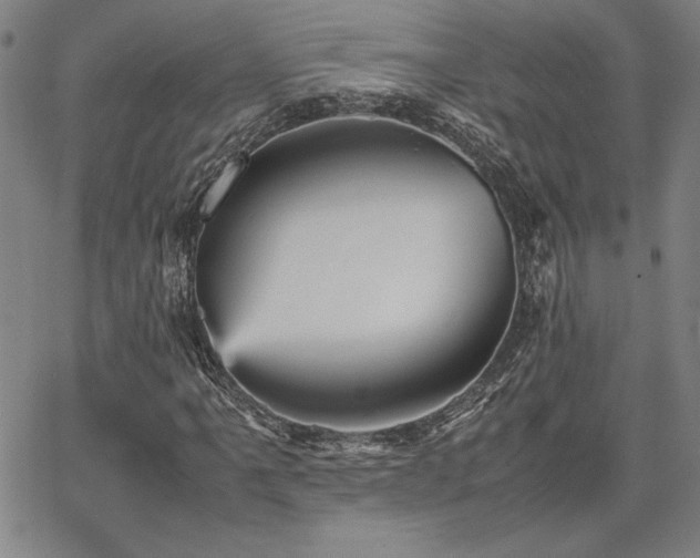 X0000067851061200604131245