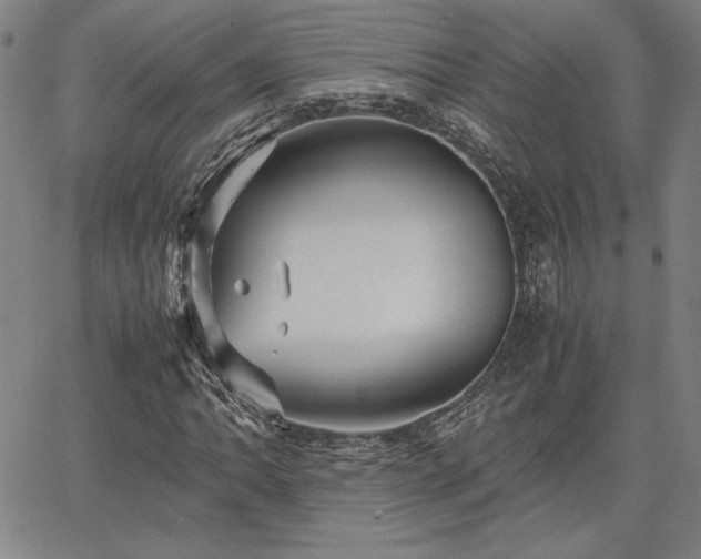 X0000067851062200604131245