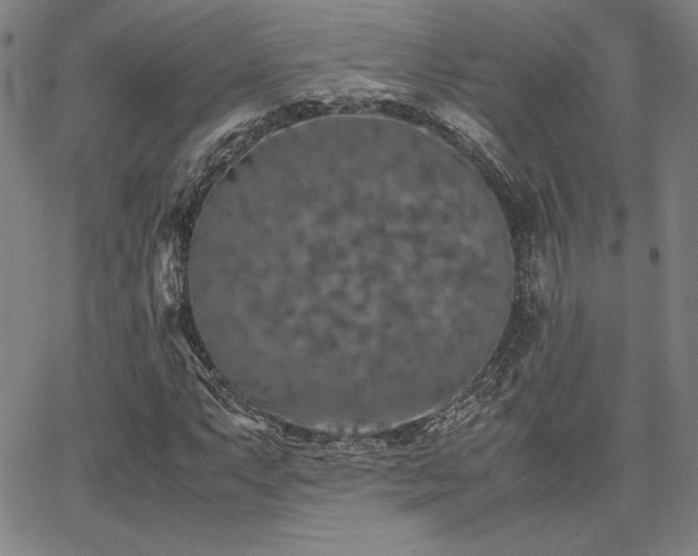 X0000067851063200604131245