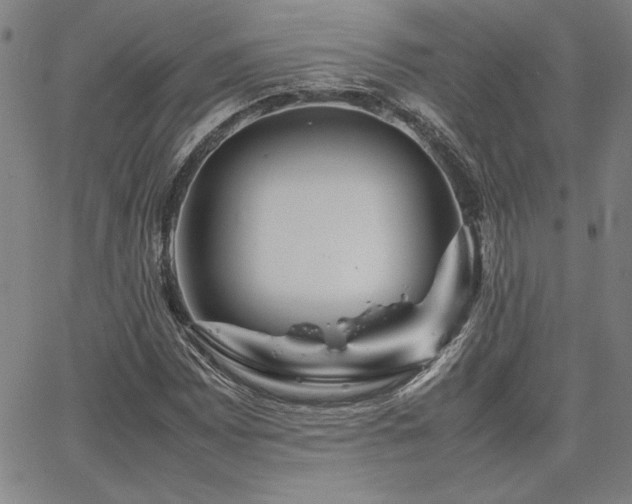 X0000067851065200604131245