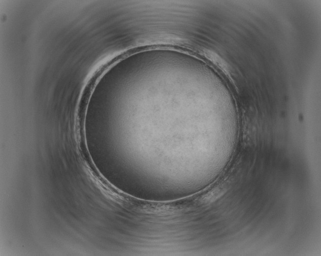 X0000067851072200604131245