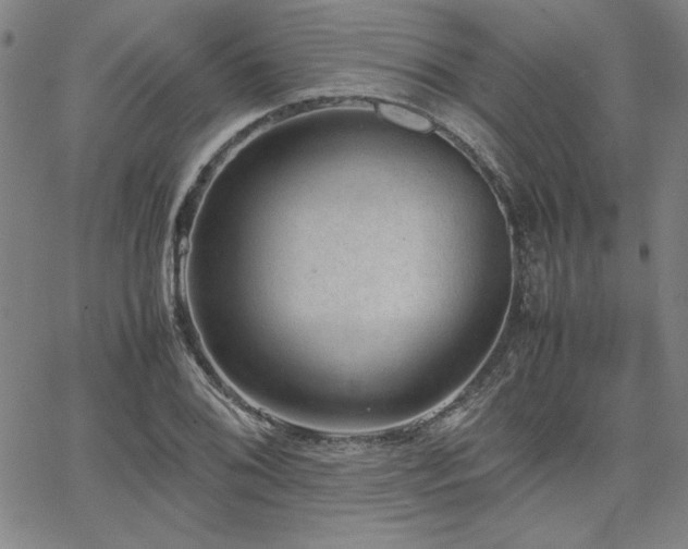 X0000067851076200604131245