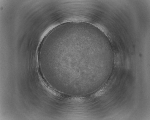 X0000067851078200604131245