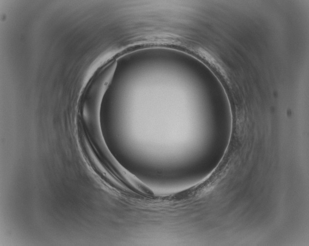 X0000067851085200604131245