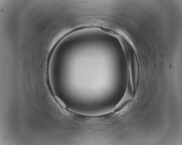 X0000067851093200604131245