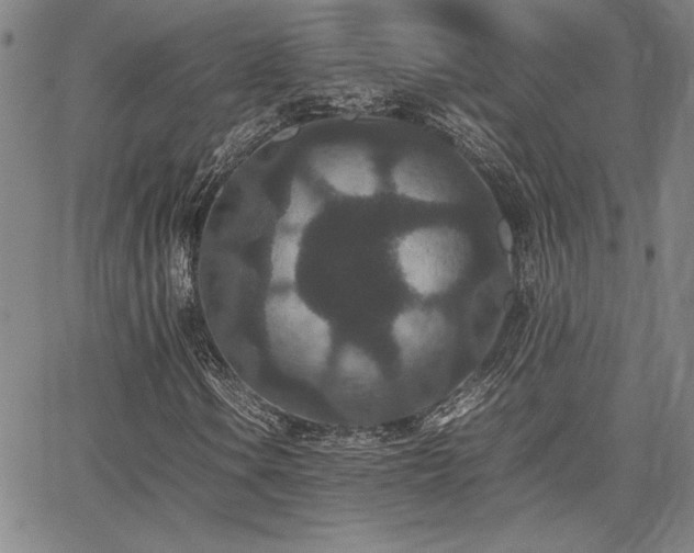 X0000067851106200604131244