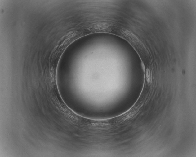 X0000067851107200604131244