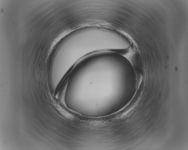 X0000067851114200604131244