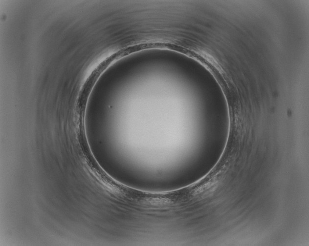 X0000067851119200604131244