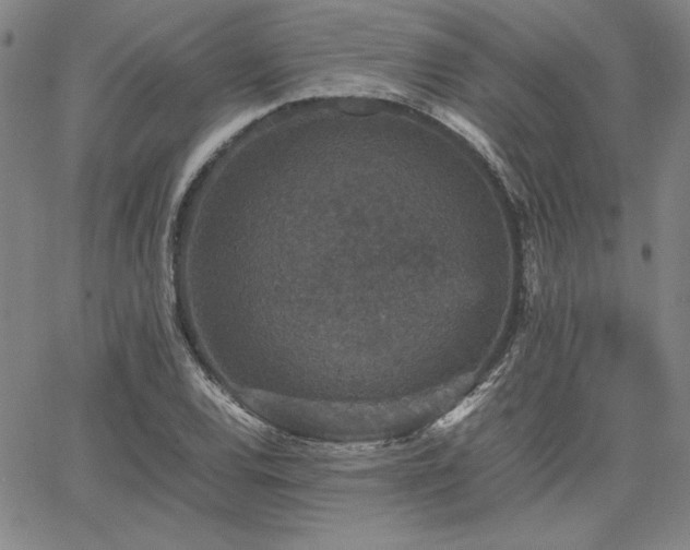 X0000067851120200604131244