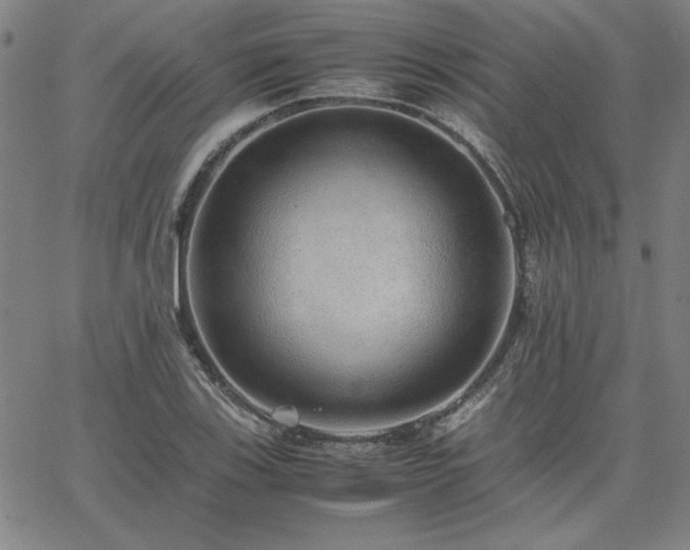X0000067851123200604131244