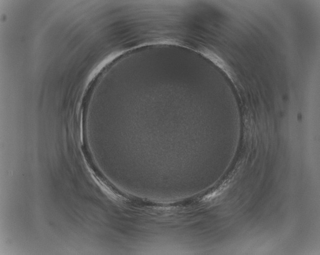 X0000067851127200604131244