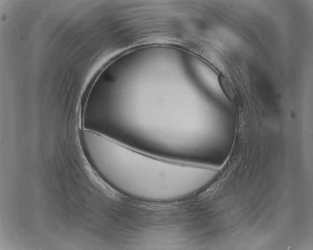X0000067851132200604131244