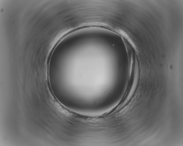 X0000067851140200604131244