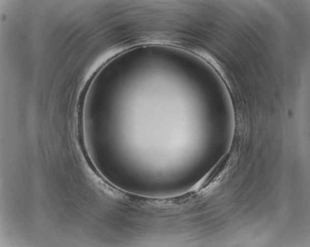 X0000067851147200604131245