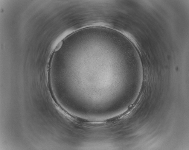 X0000067851151200604131245