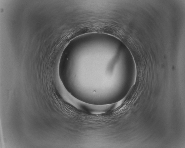 X0000067851153200604131244