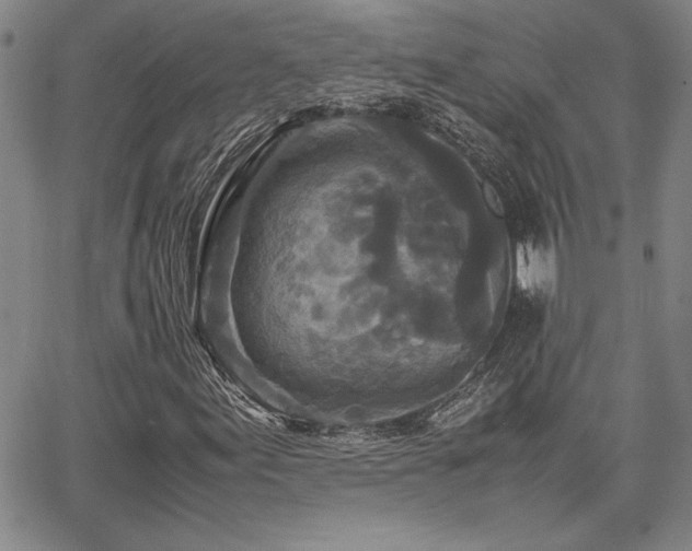 X0000067851155200604131244