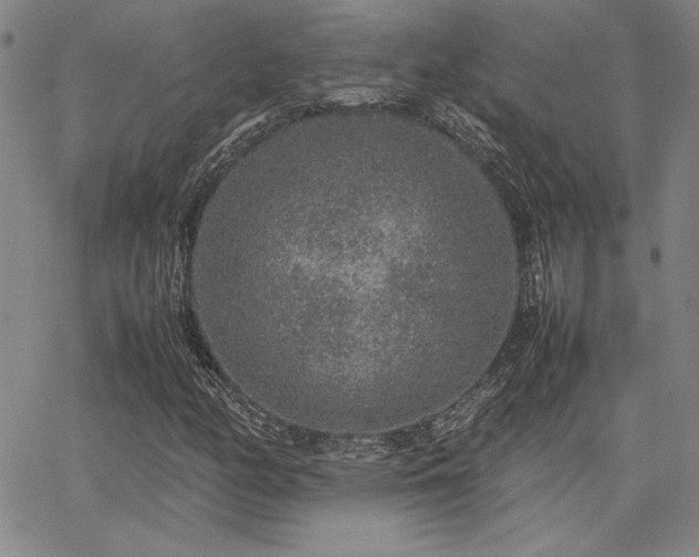 X0000067851158200604131244