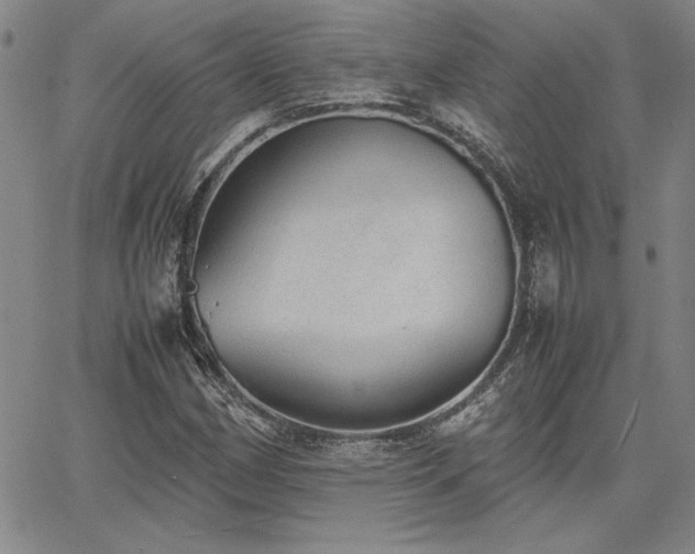X0000067851162200604131244