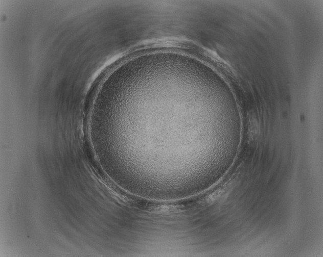 X0000067851166200604131244
