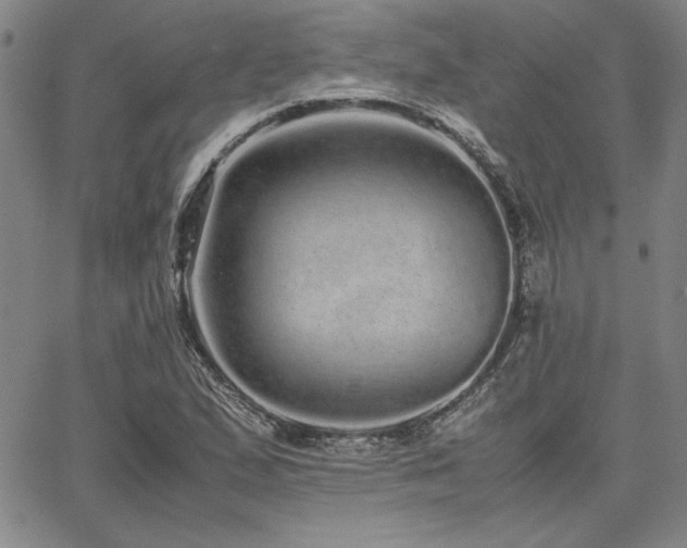 X0000067851167200604131244