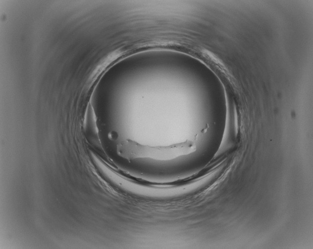 X0000067851177200604131243