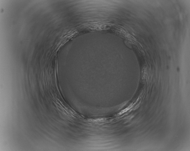 X0000067851202200604131242