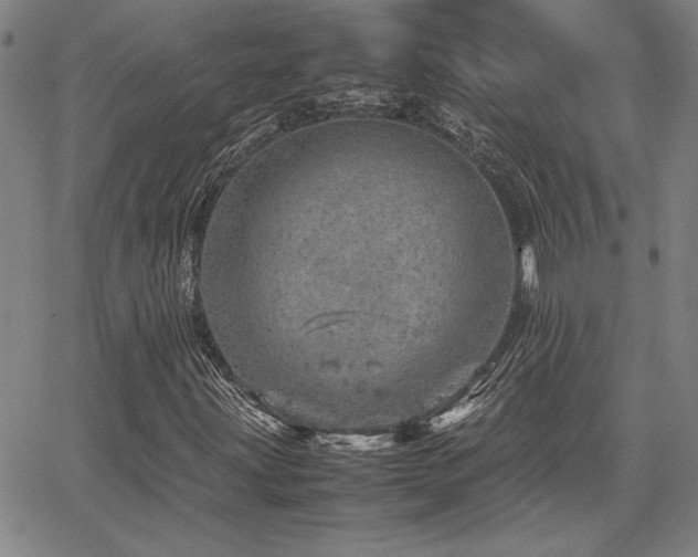 X0000067851203200604131242