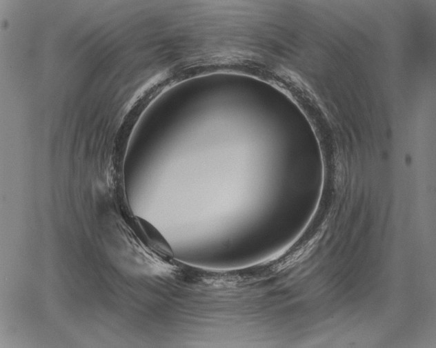X0000067851210200604131242
