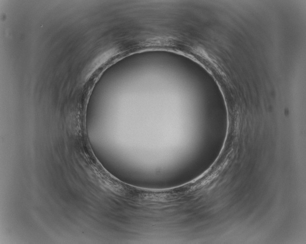 X0000067851211200604131242