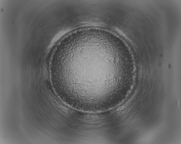 X0000067851215200604131242