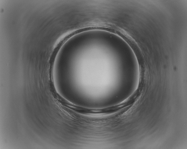 X0000067851222200604131243