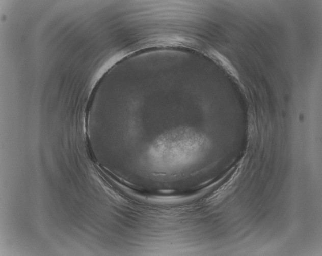 X0000067851226200604131243