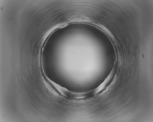 X0000067851246200604131243