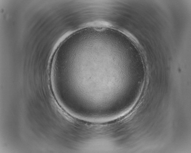 X0000067851248200604131243