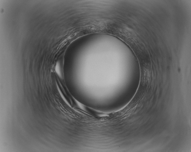 X0000067851250200604131242