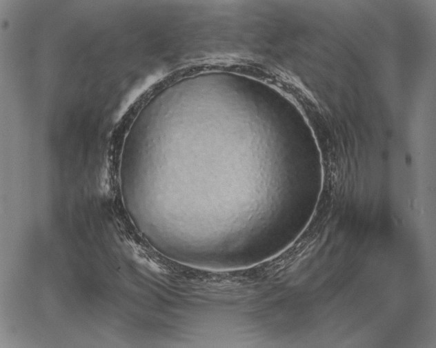 X0000067851256200604131242