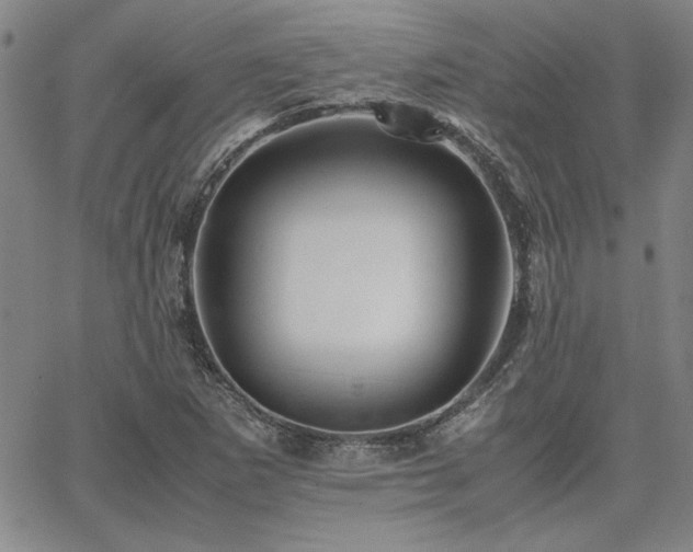 X0000067851265200604131242