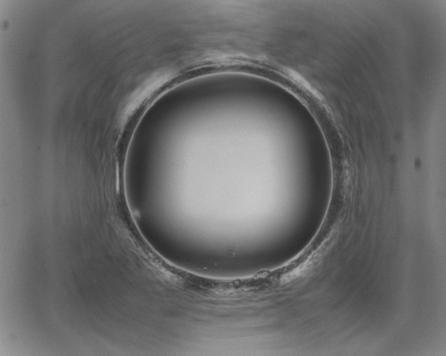 X0000067851269200604131242