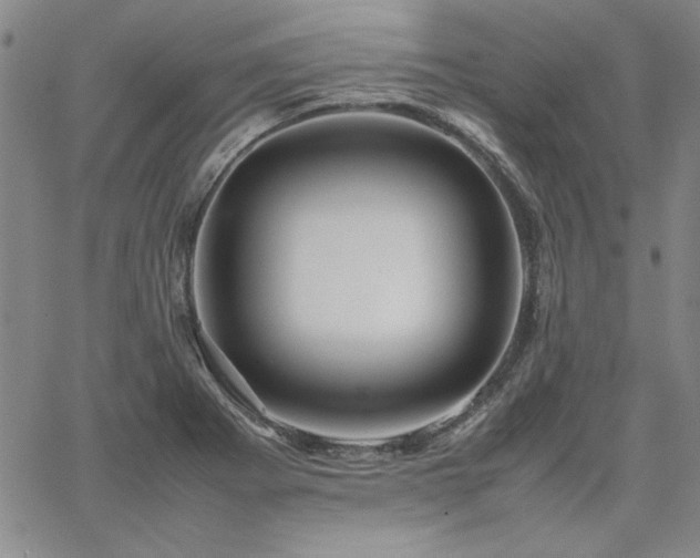 X0000067851273200604131242
